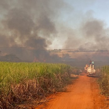 Incêndio de grandes proporções atinge vegetação e lavouras de cana em Osvaldo Cruz